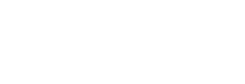 AusDIP - Long Logo White
